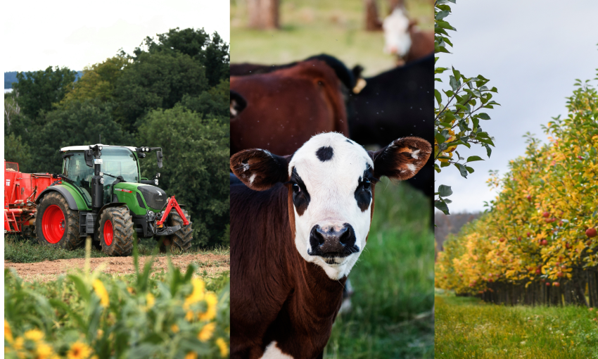 Informații privind evidența agricolă – Primăria Comunei Ocland