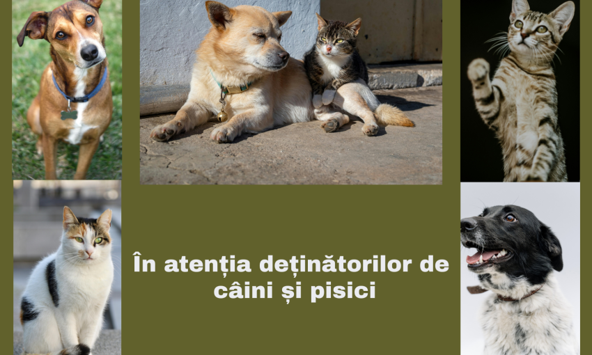 În atenția deținătorilor de câini și pisici